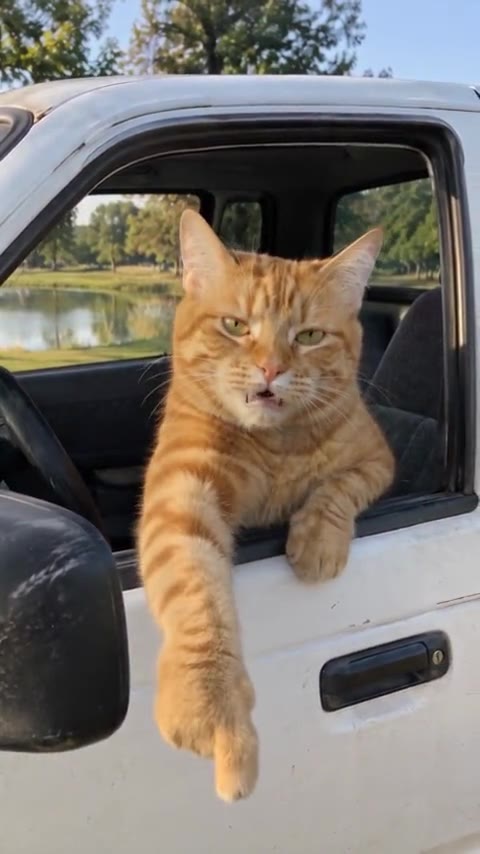 The Hit the Road Dude meme: a white pickup parked by a field next to the pond